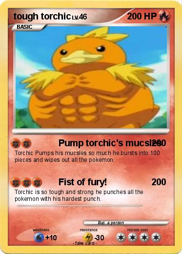 Pokemon tough torchic