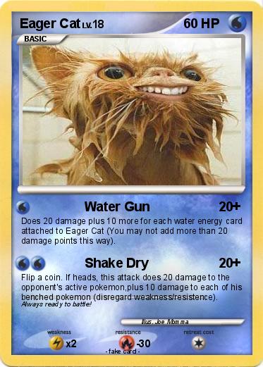 Pokemon Eager Cat