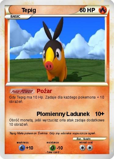 Pokemon Tepig