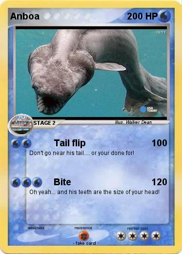 Pokemon Anboa
