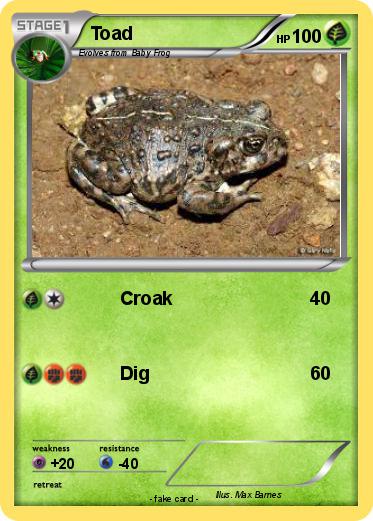 Pokemon Toad