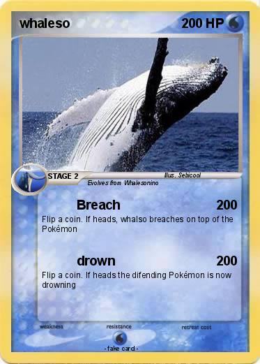 Pokemon whaleso