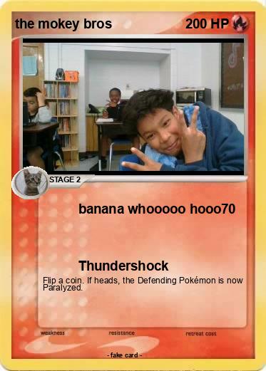 Pokemon the mokey bros