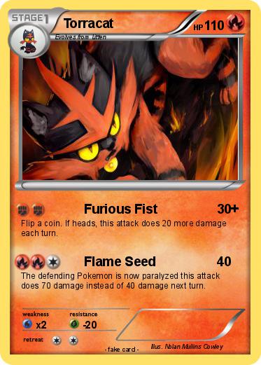 Pokemon Torracat