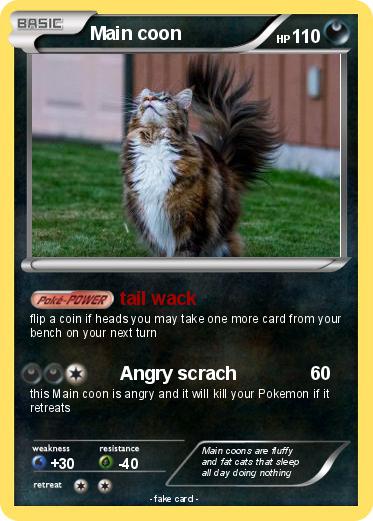 Pokemon Main coon