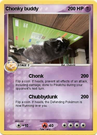 Pokemon Chonky buddy