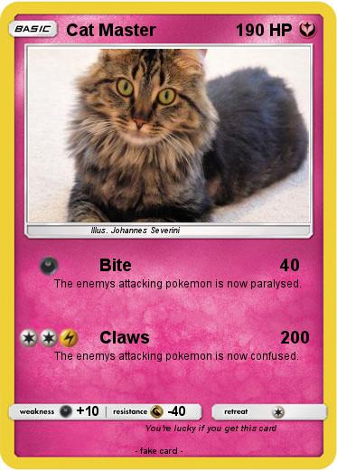 Pokemon Cat Master