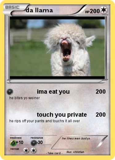 Pokemon da llama