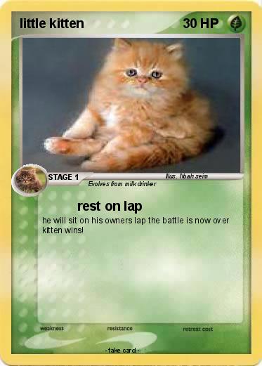 Pokemon little kitten