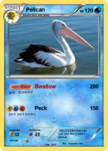 Pokemon Pelican