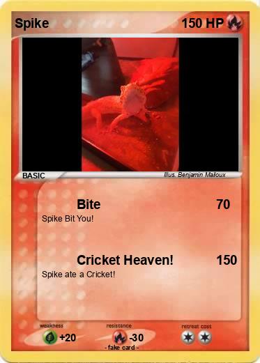 Pokemon Spike