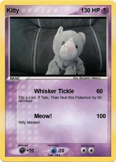 Pokemon Kitty