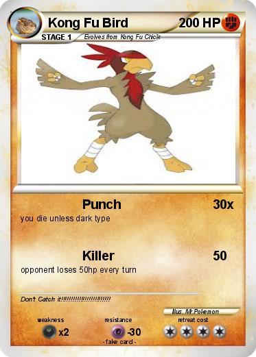 Pokemon Kong Fu Bird