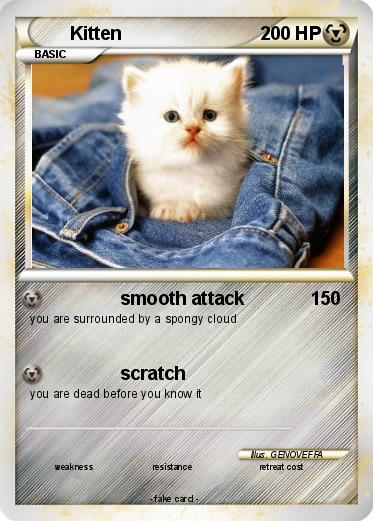 Pokemon Kitten