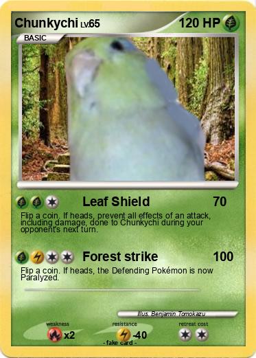 Pokemon Chunkychi