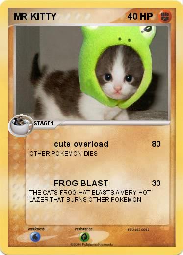 Pokemon MR KITTY 