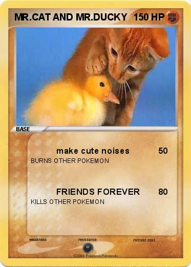 Pokemon MR.CAT AND MR.DUCKY