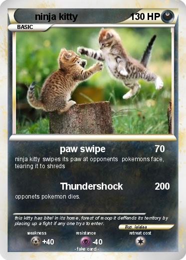 Pokemon ninja kitty