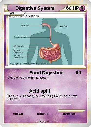 Pokemon Digestive System