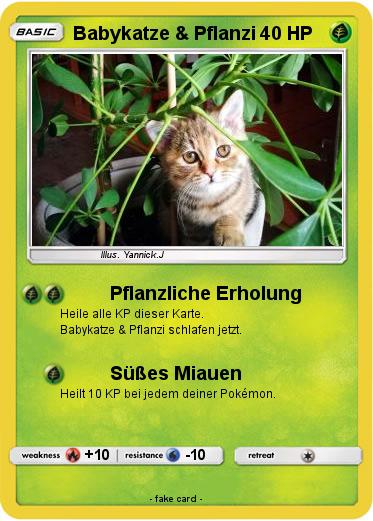Pokemon Babykatze & Pflanzi