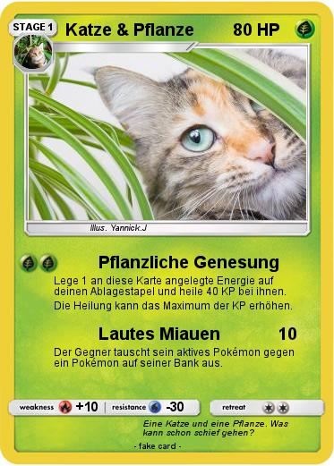 Pokemon Katze & Pflanze