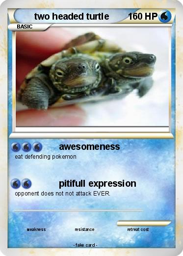 Pokemon two headed turtle