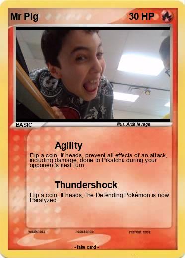 Pokemon Mr Pig
