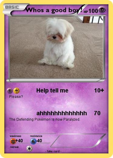 Pokemon Whos a good boy?