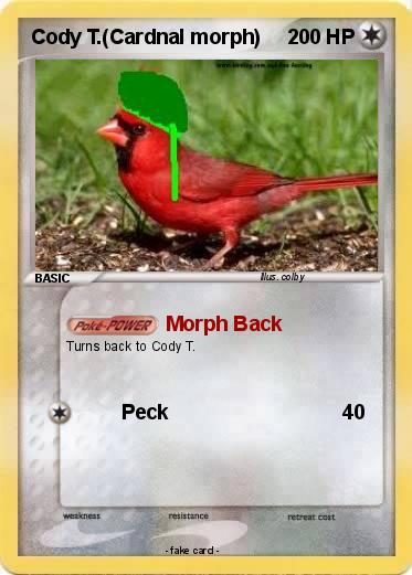 Pokemon Cody T.(Cardnal morph)