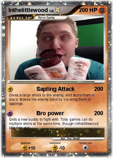 Pokemon Inthelittlewood
