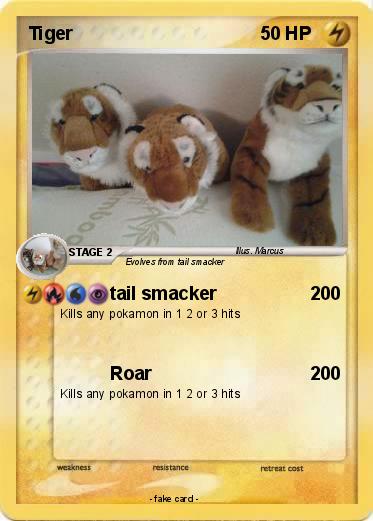 Pokemon Tiger