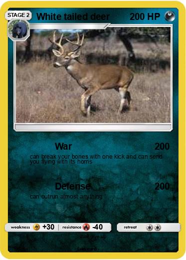 Pokemon White tailed deer