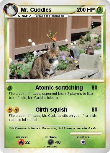Pokemon Mr. Cuddles