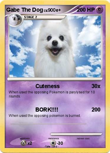 Pokemon Gabe The Dog