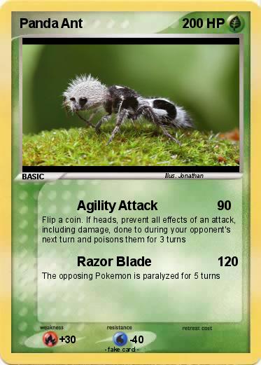 Pokemon Panda Ant