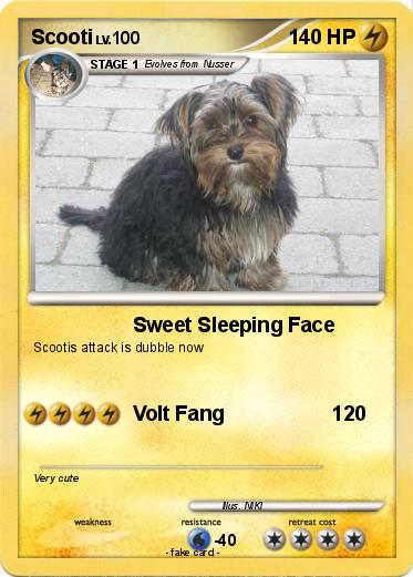 Pokemon Scooti