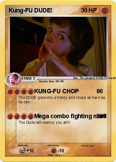 Pokemon Kung-FU DUDE!
