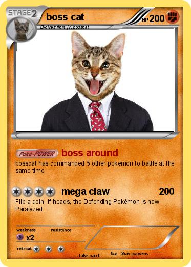 Pokemon boss cat