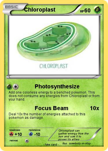 Pokemon Chloroplast