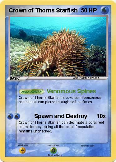 Pokemon Crown of Thorns Starfish