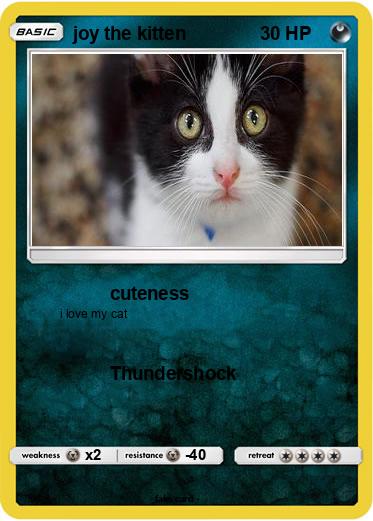 Pokemon joy the kitten