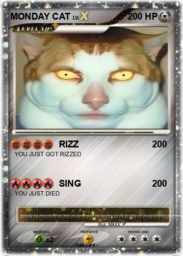 Pokemon MONDAY CAT
