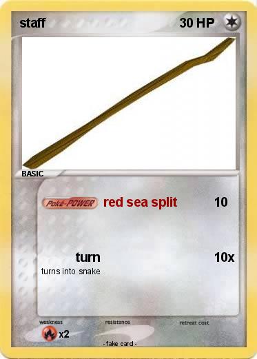 Pokemon staff