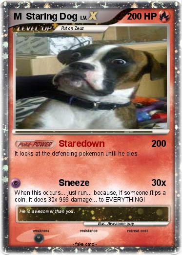 Pokemon M  Staring Dog
