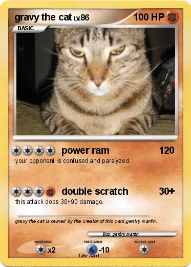 Pokemon gravy the cat