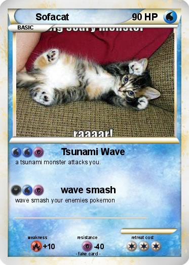 Pokemon Sofacat
