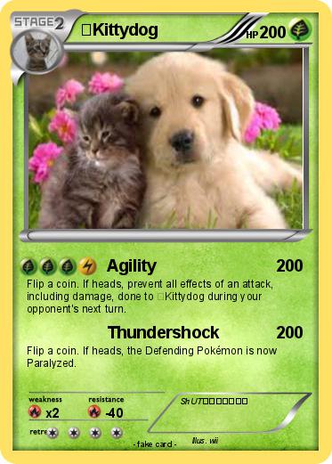 Pokemon 㑣Kittydog