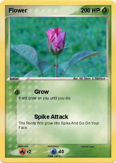 Pokemon Flower