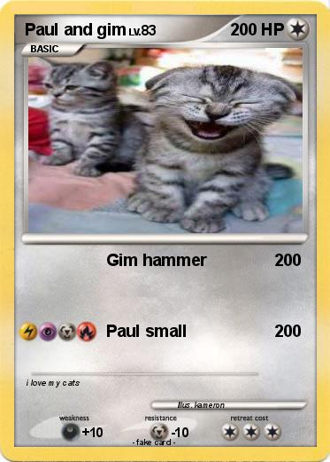 Pokemon Paul and gim