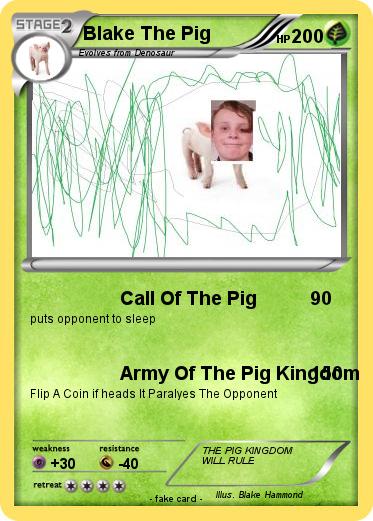 Pokemon Blake The Pig